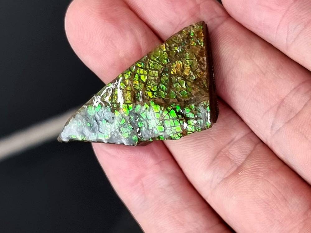 60) Ammolite Crystal Gemstone