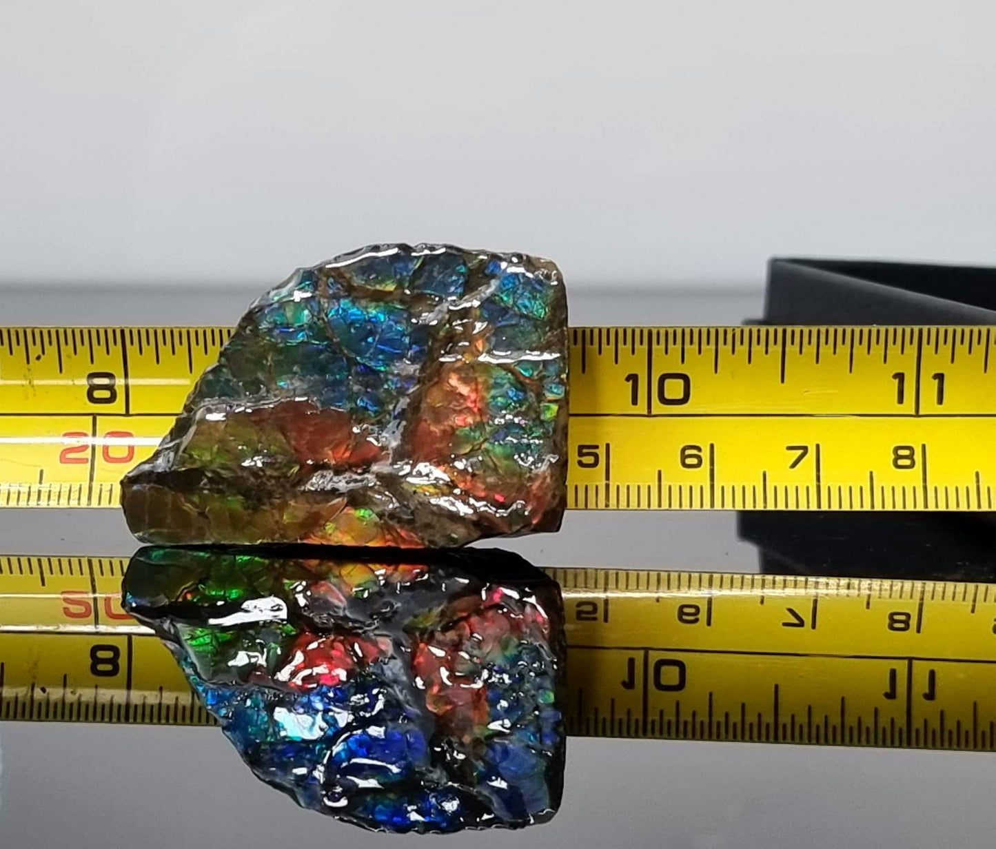 17am) Ammolite Crystal Gemstone