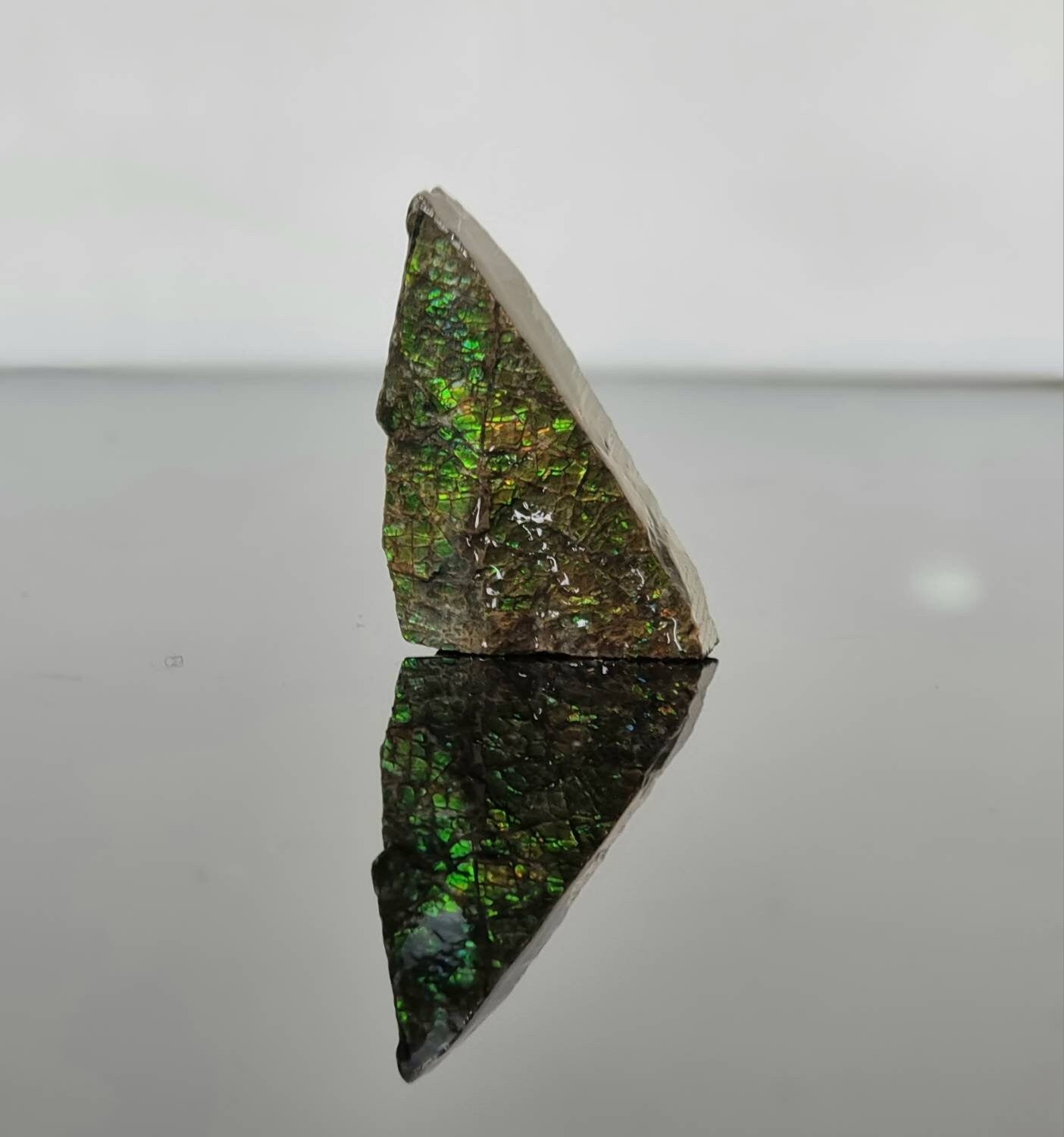 60) Ammolite Crystal Gemstone