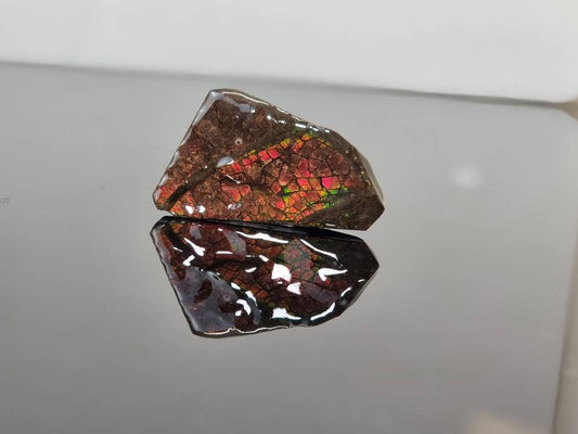 59) Ammolite Crystal Gemstone