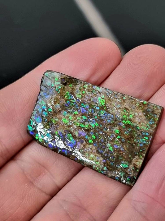 57) Ammolite Crystal Gemstone