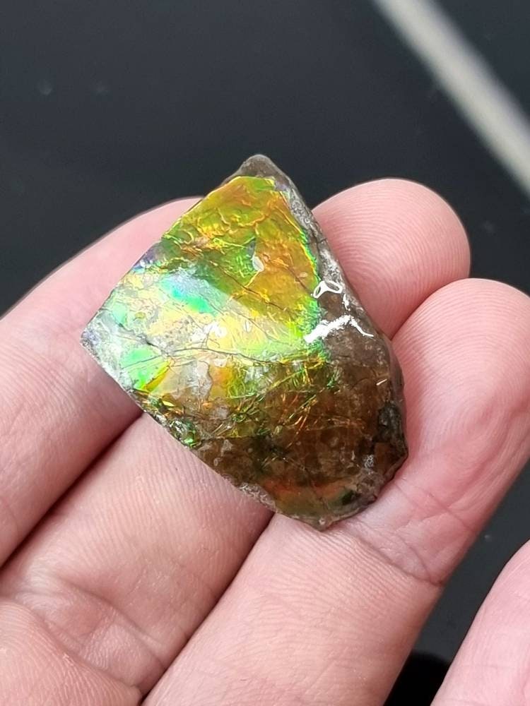 58) Ammolite Crystal Gemstone