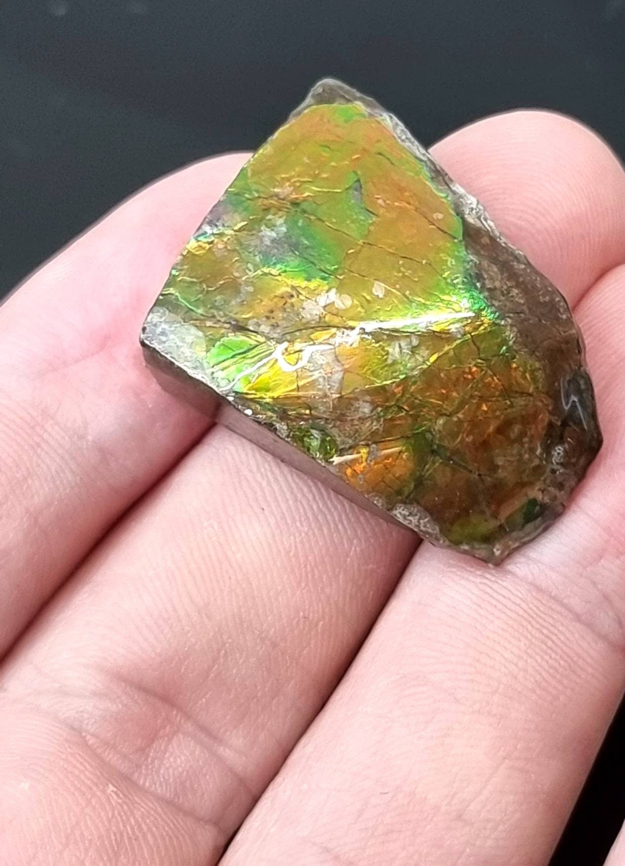 58) Ammolite Crystal Gemstone