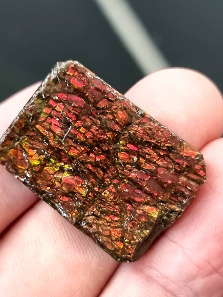 red ammolite crystal gemstone rare