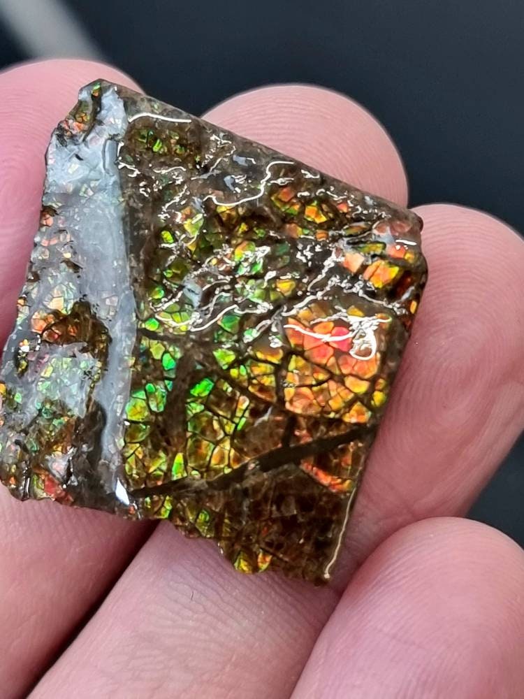 56) Ammolite Crystal Gemstone