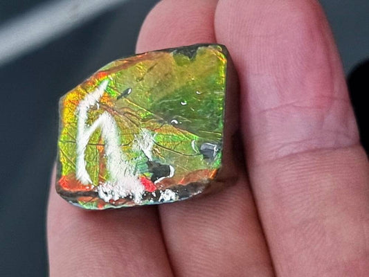 ammolite crystal gemstone