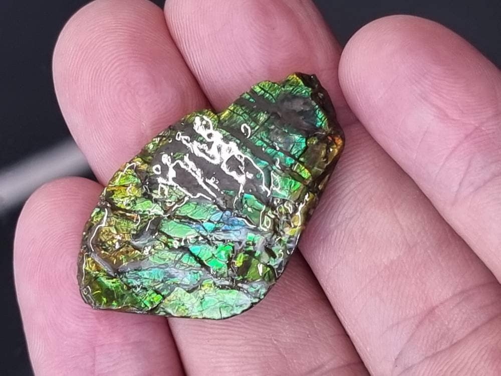 ammolite crystal gemstone canada