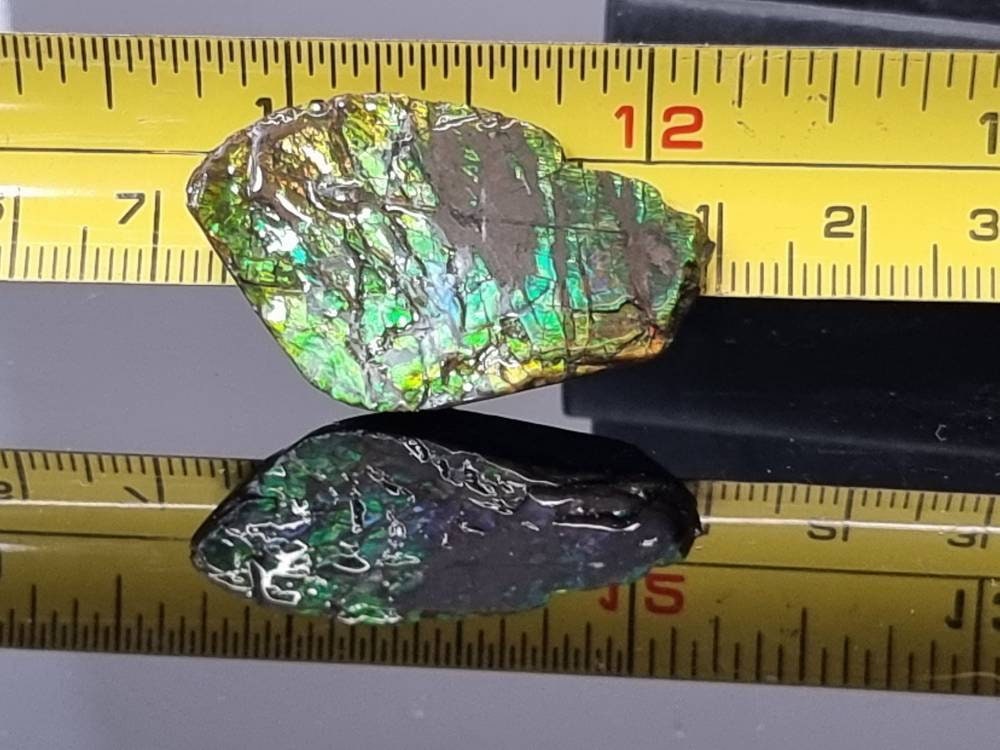 52) Ammolite Crystal Gemstone