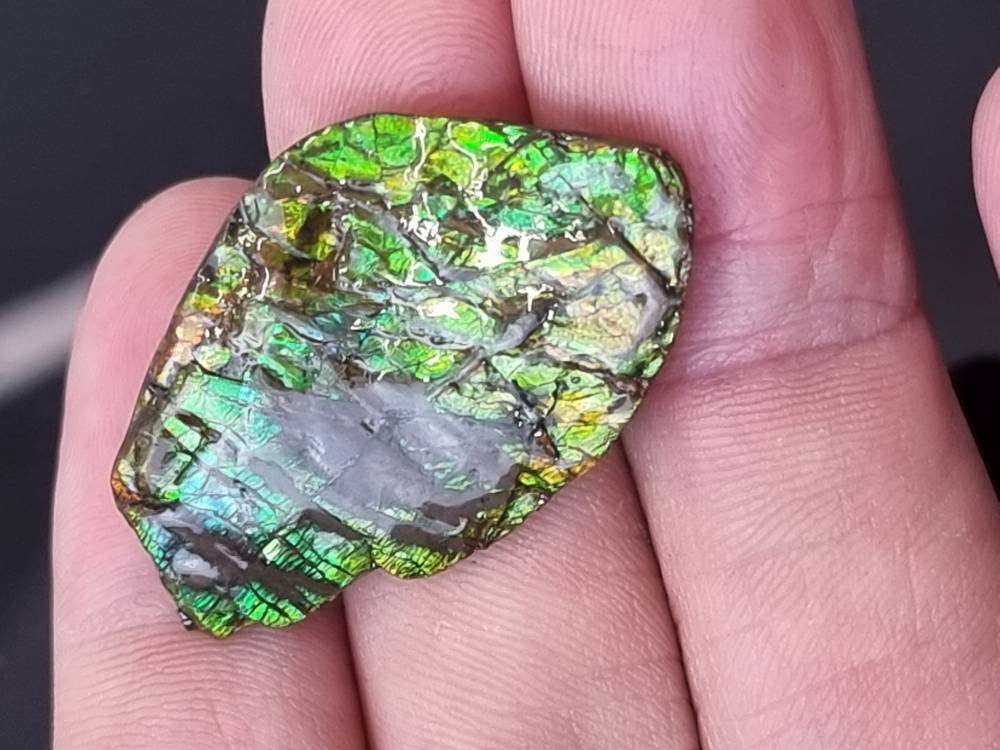 52) Ammolite Crystal Gemstone