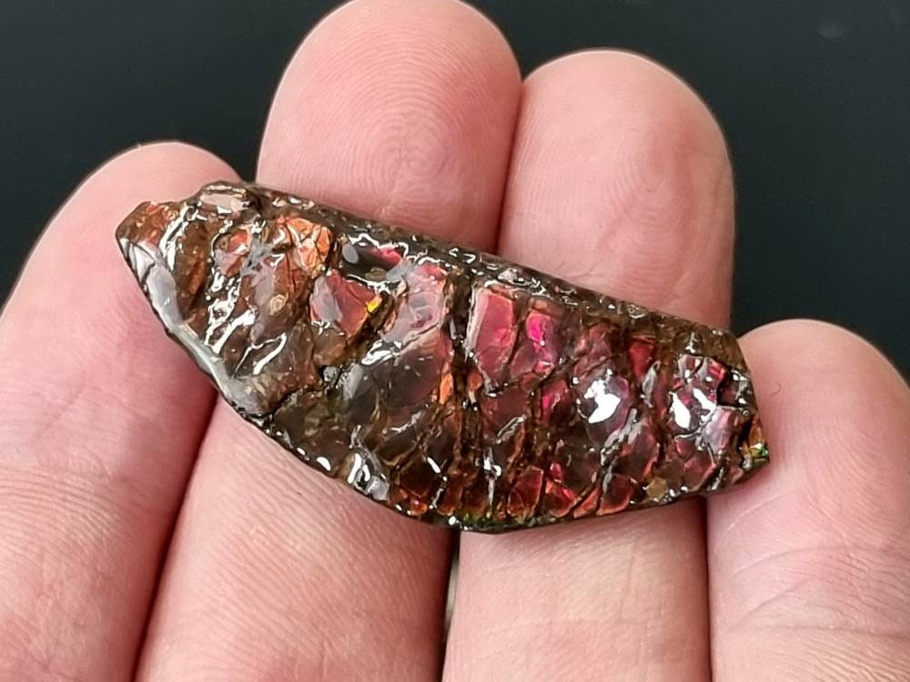 50) Ammolite Crystal Gemstone