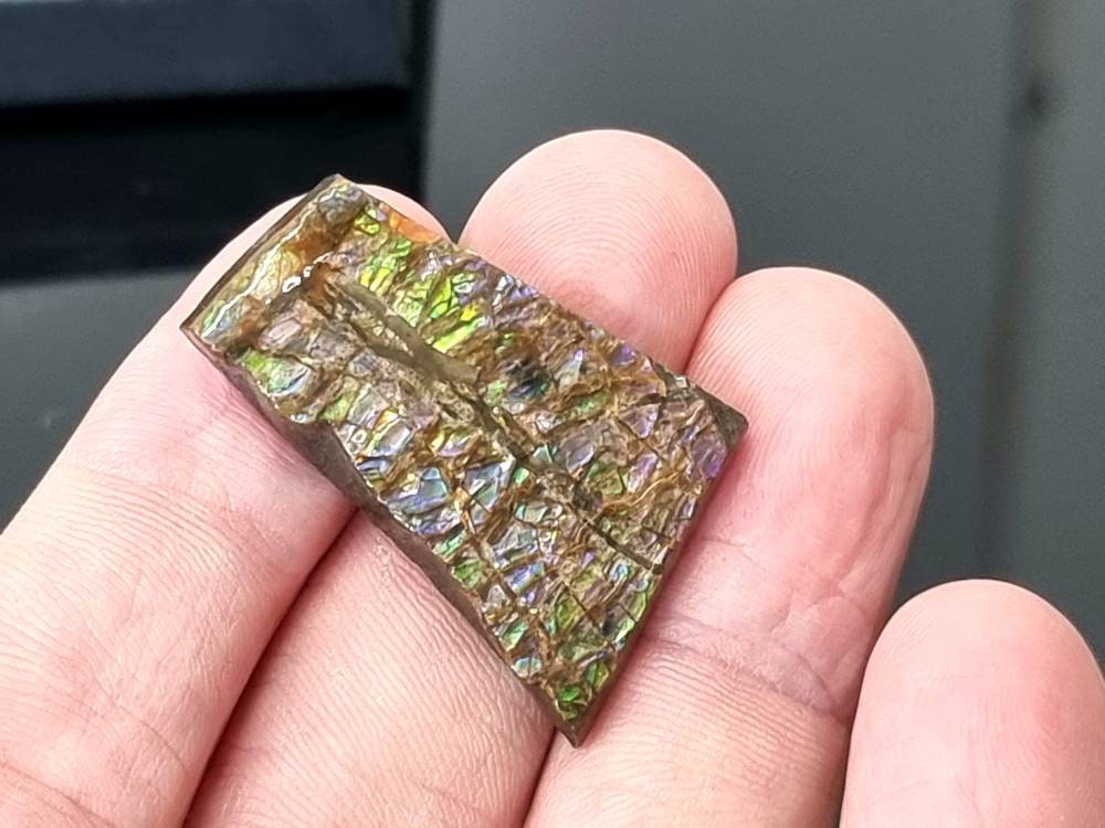 49) Ammolite Crystal Gemstone