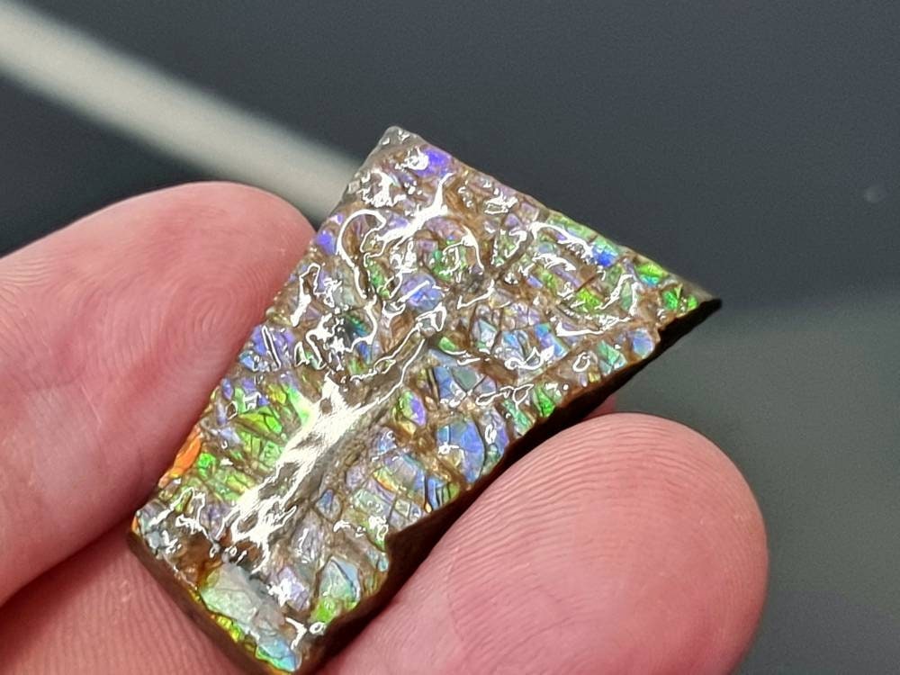 49) Ammolite Crystal Gemstone