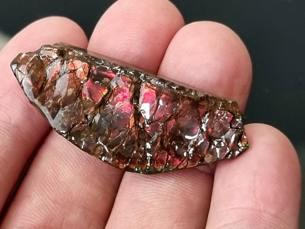 50) Ammolite Crystal Gemstone