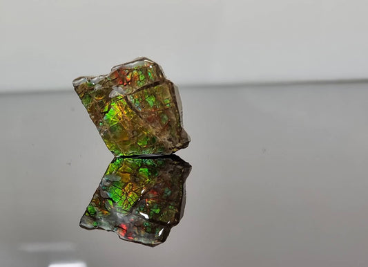 ammolite crystal gemstone canada