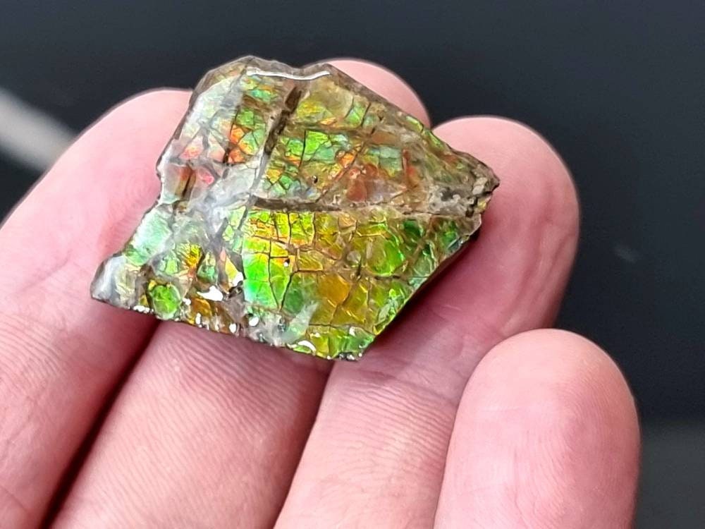 48) Ammolite Crystal Gemstone