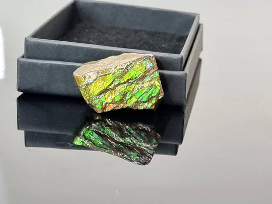 ammolite crystal gemstone canada