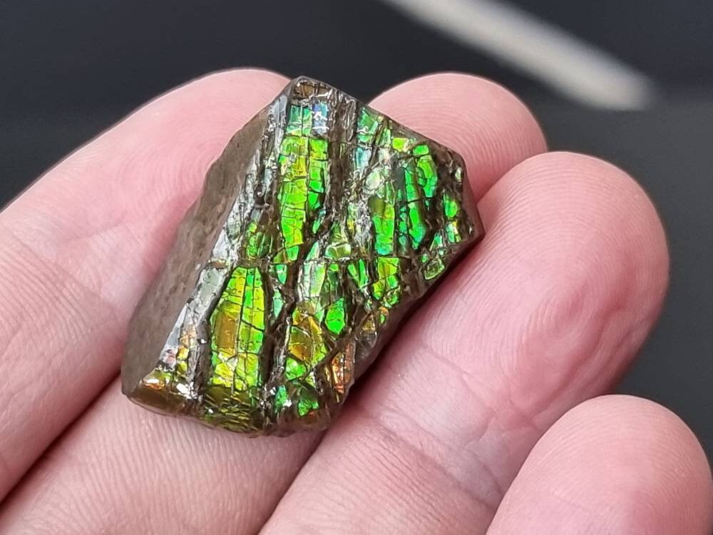 47) Ammolite Crystal Gemstone