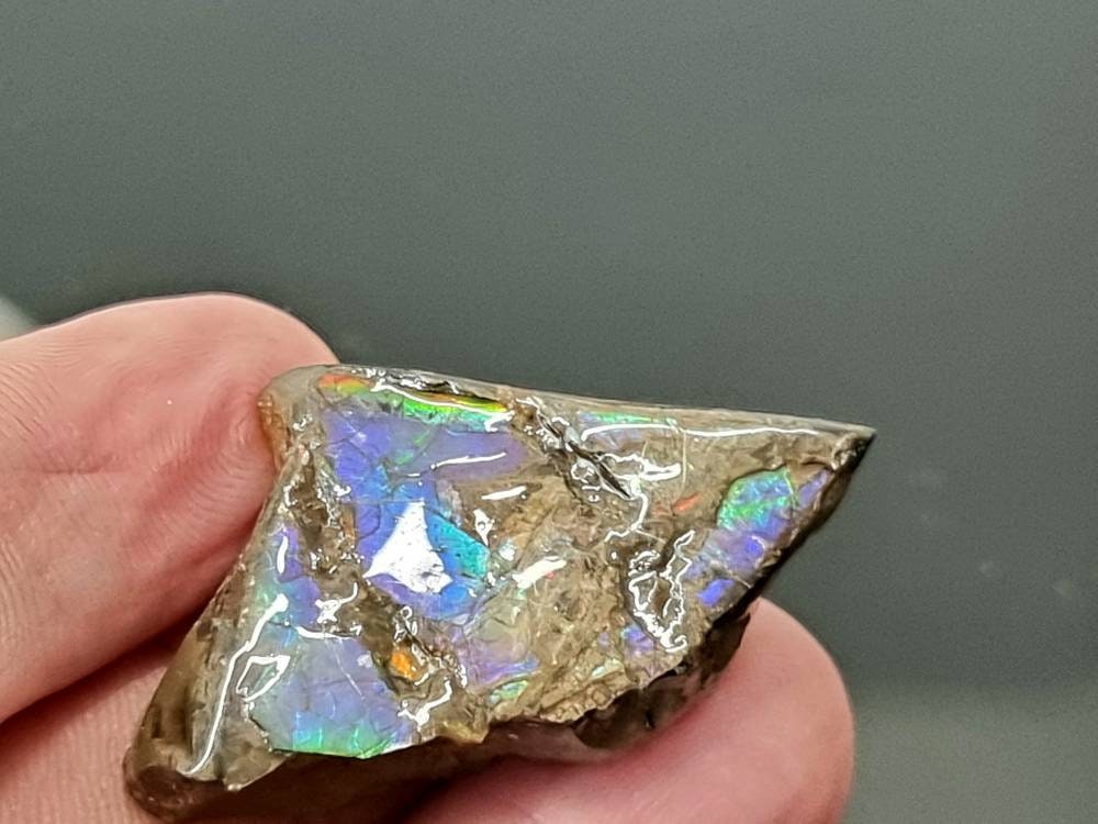 46) Ammolite Crystal Gemstone