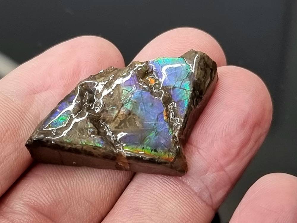 46) Ammolite Crystal Gemstone