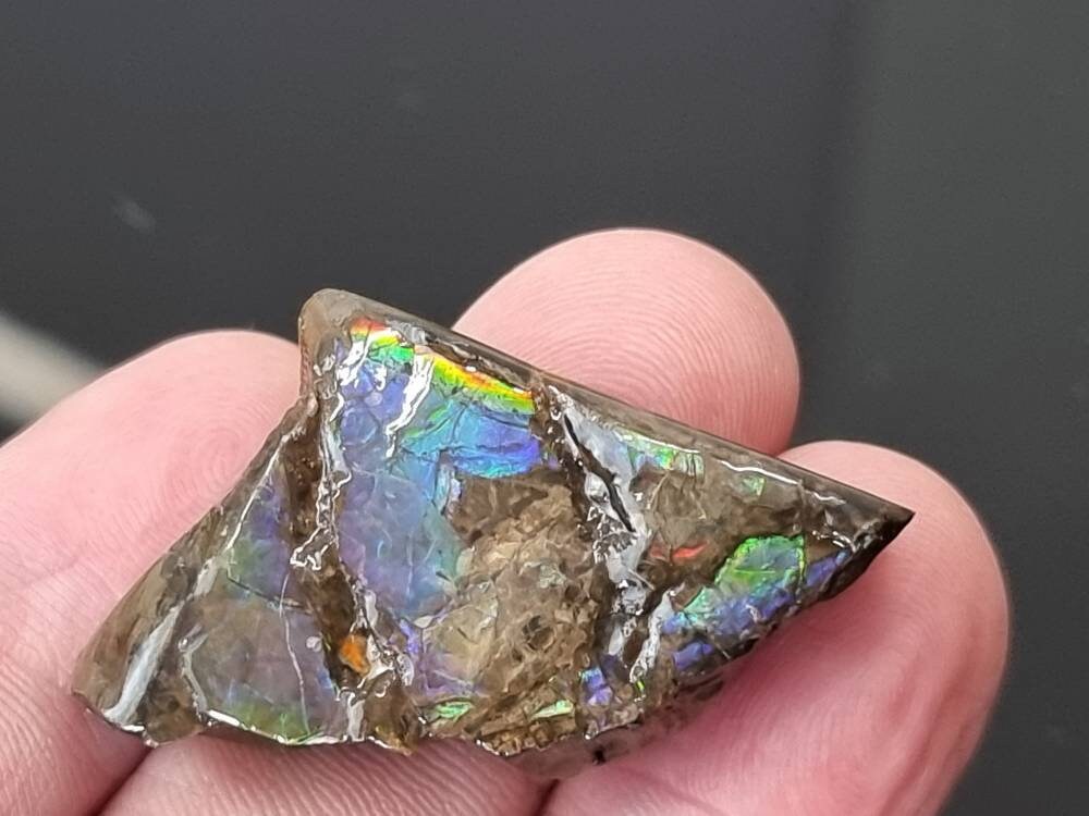 46) Ammolite Crystal Gemstone