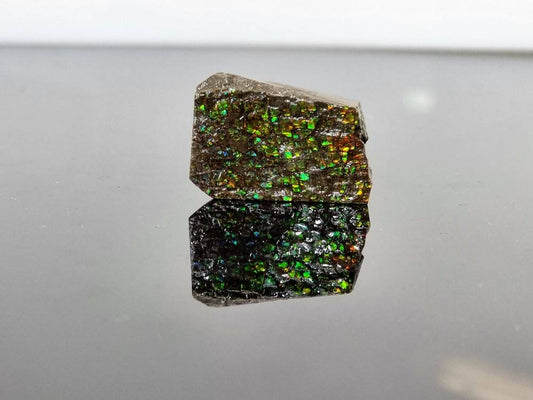 ammolite crystal gemstone canada