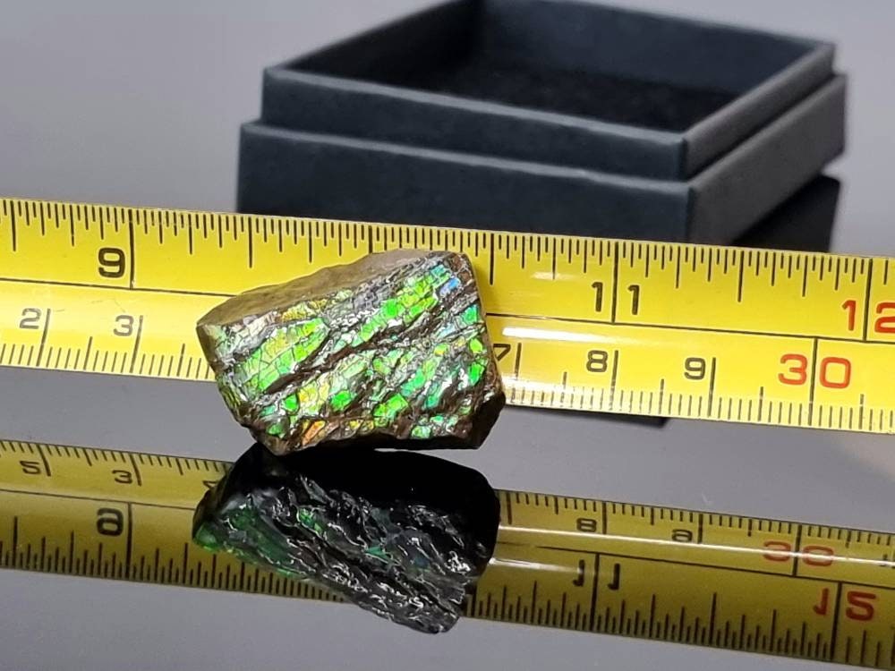 47) Ammolite Crystal Gemstone