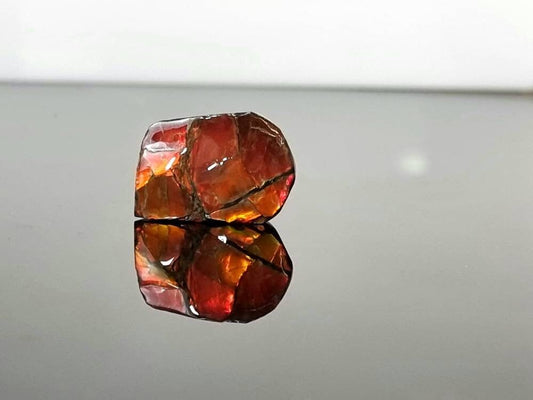 ammolite crystal gemstone canada red