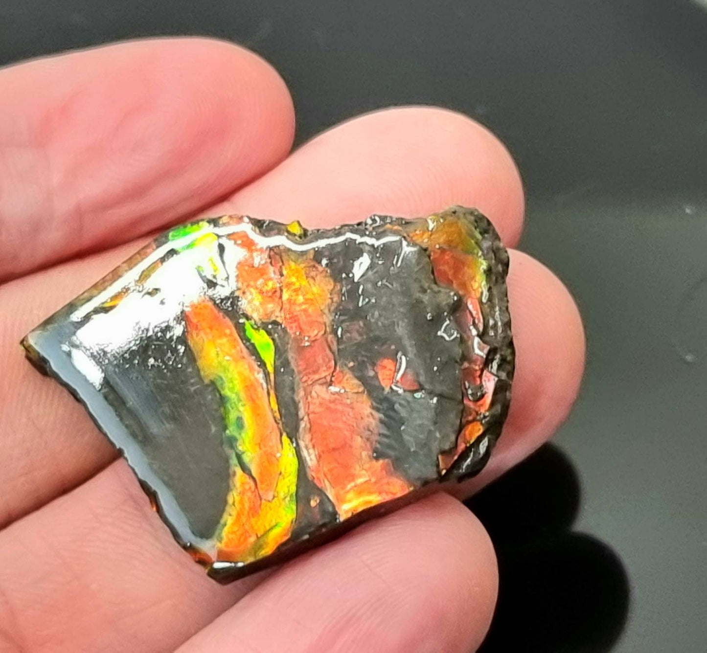 41) Ammolite Crystal Gemstone