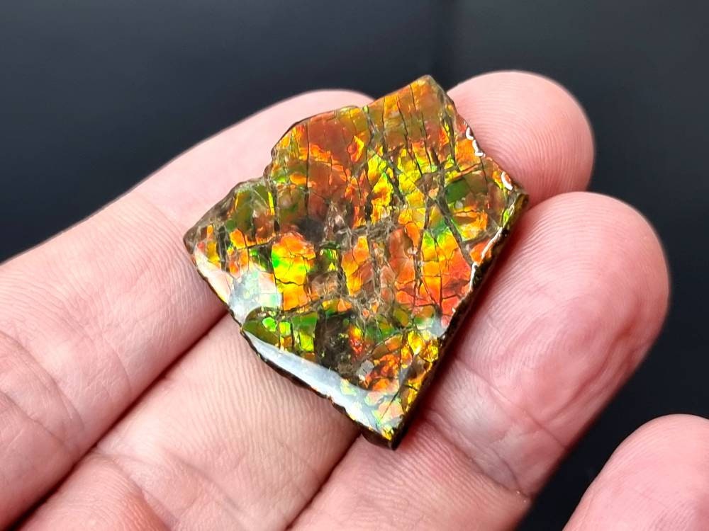 ammolite crystal gemstone canada