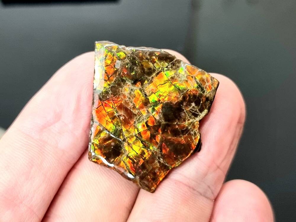 39) Ammolite Crystal Gemstone