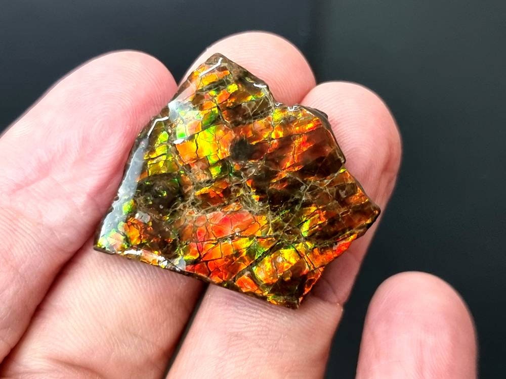 39) Ammolite Crystal Gemstone