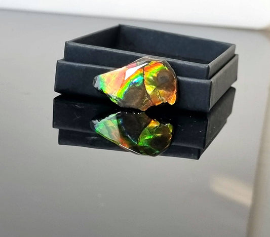 ammolite crystal gemstone canada