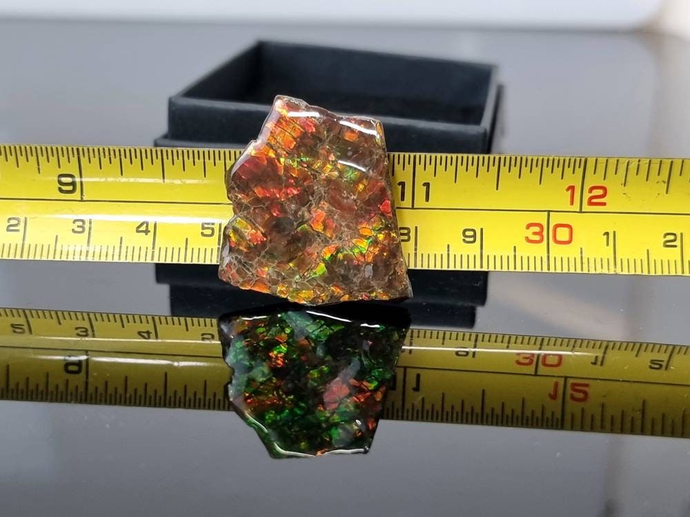 39) Ammolite Crystal Gemstone