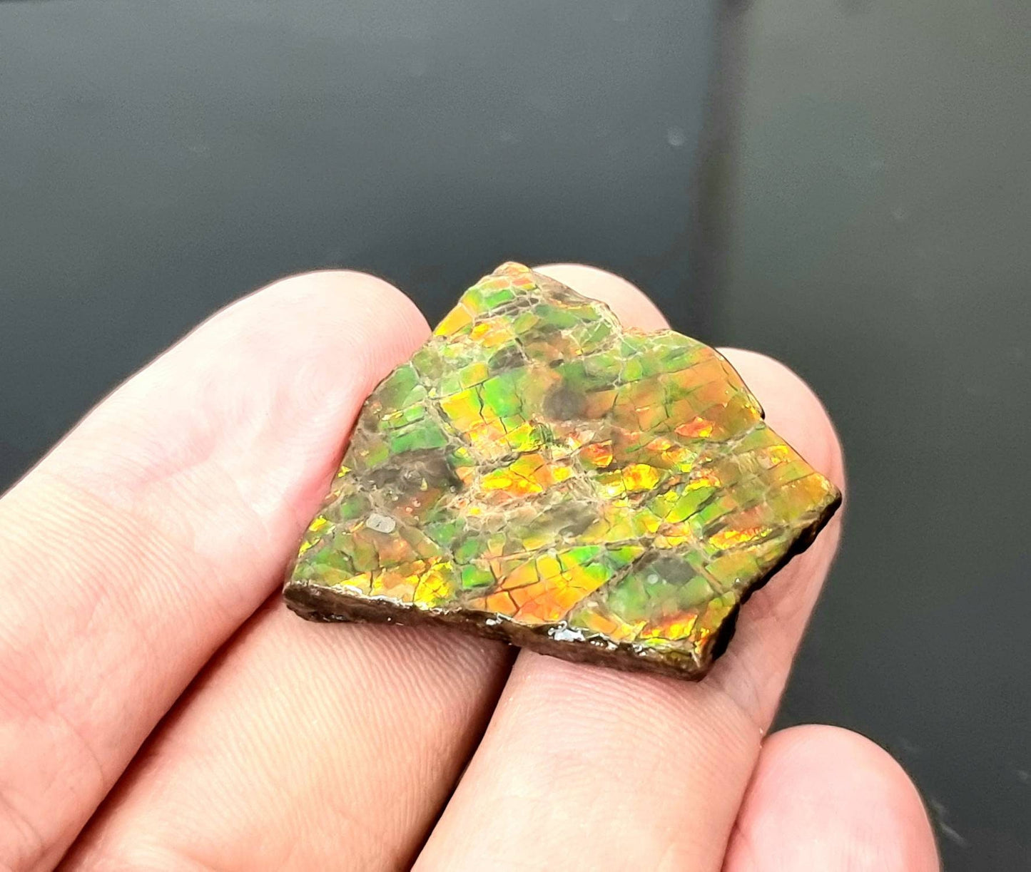 39) Ammolite Crystal Gemstone