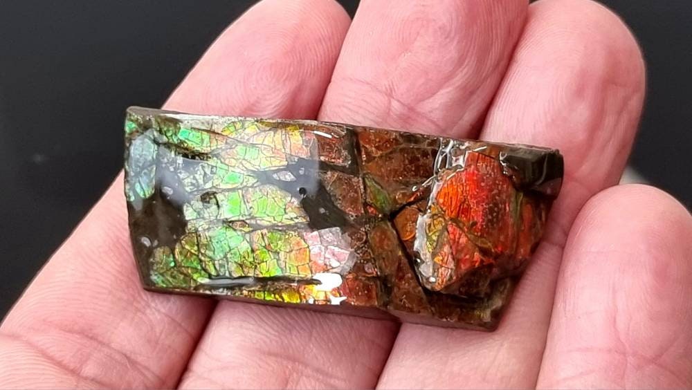 35) Ammolite Crystal Gemstone