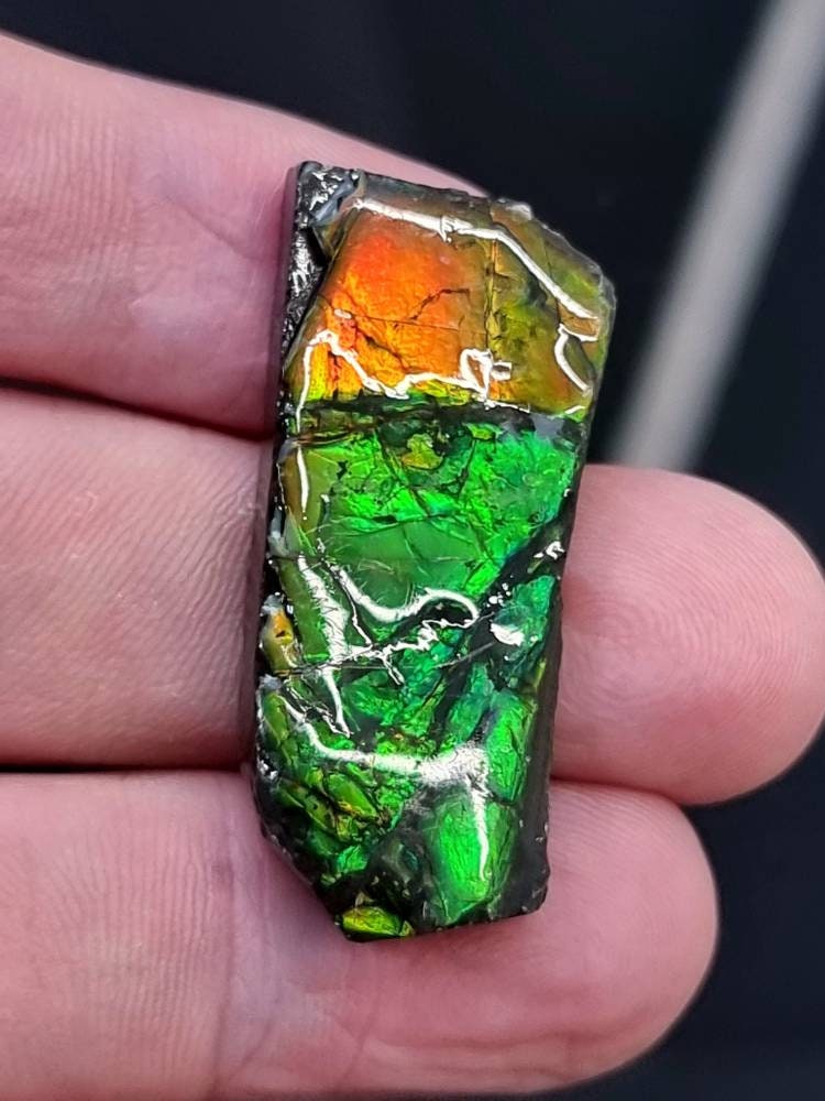 34) Ammolite Crystal Gemstone