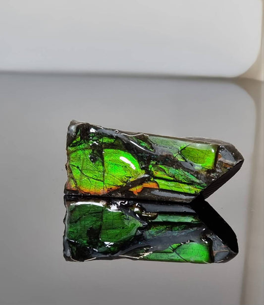 ammolite crystal gemstone canada