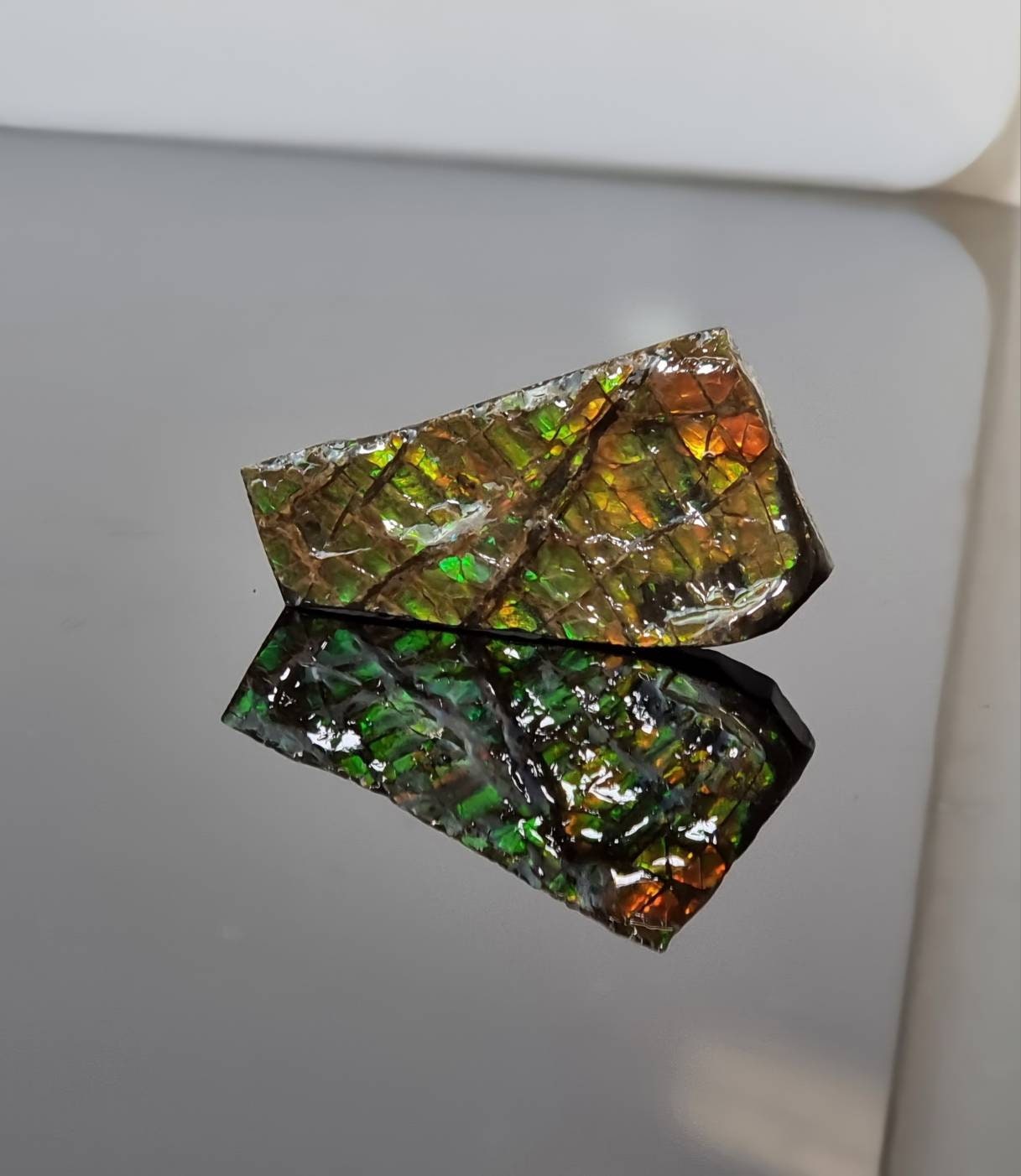 33) Ammolite Crystal Gemstone