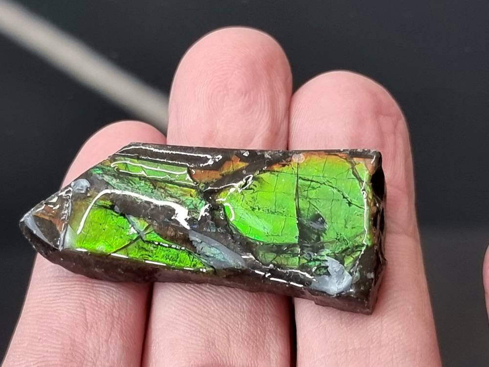 32) Ammolite Crystal Gemstone