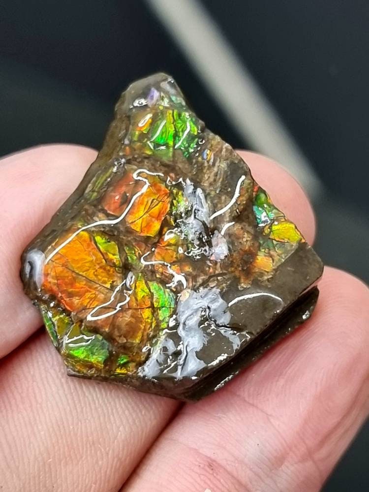 ammolite crystal gemstone canada