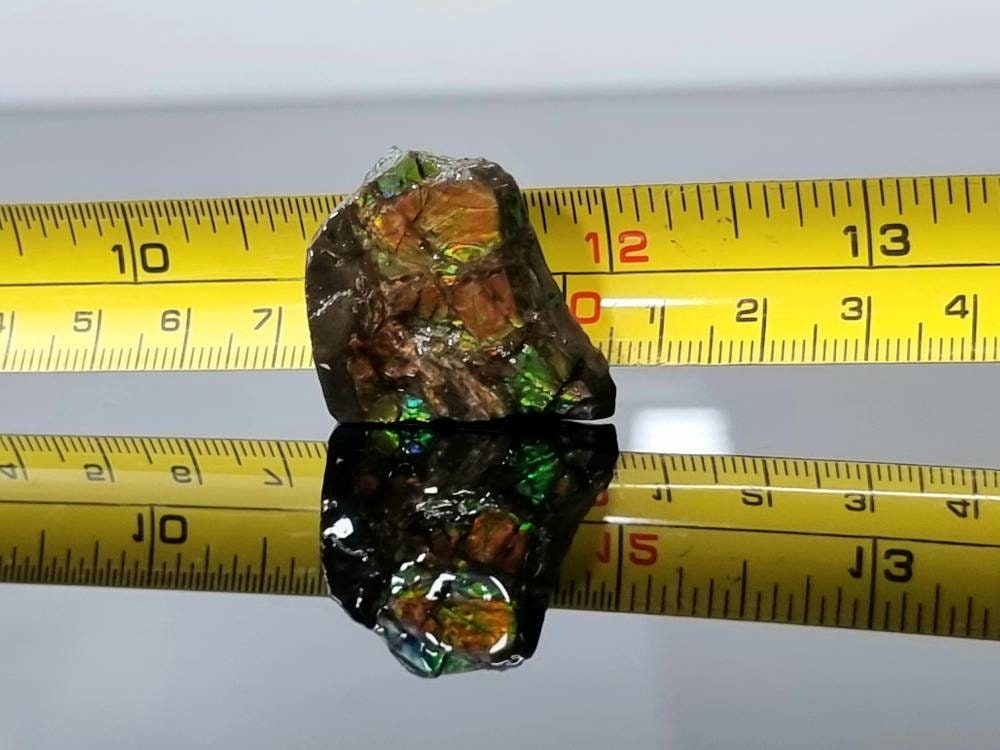 31) Ammolite Crystal Gemstone