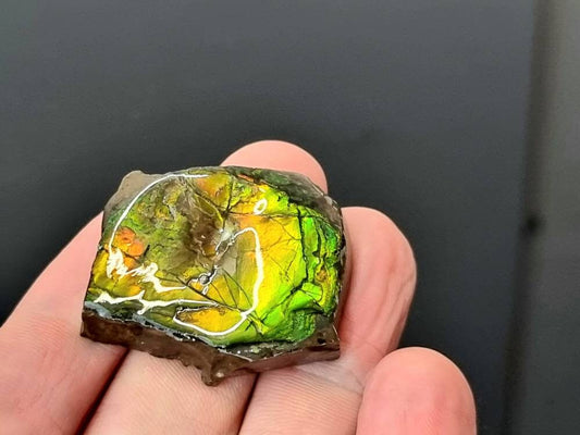 ammolite crystal gemstone canada