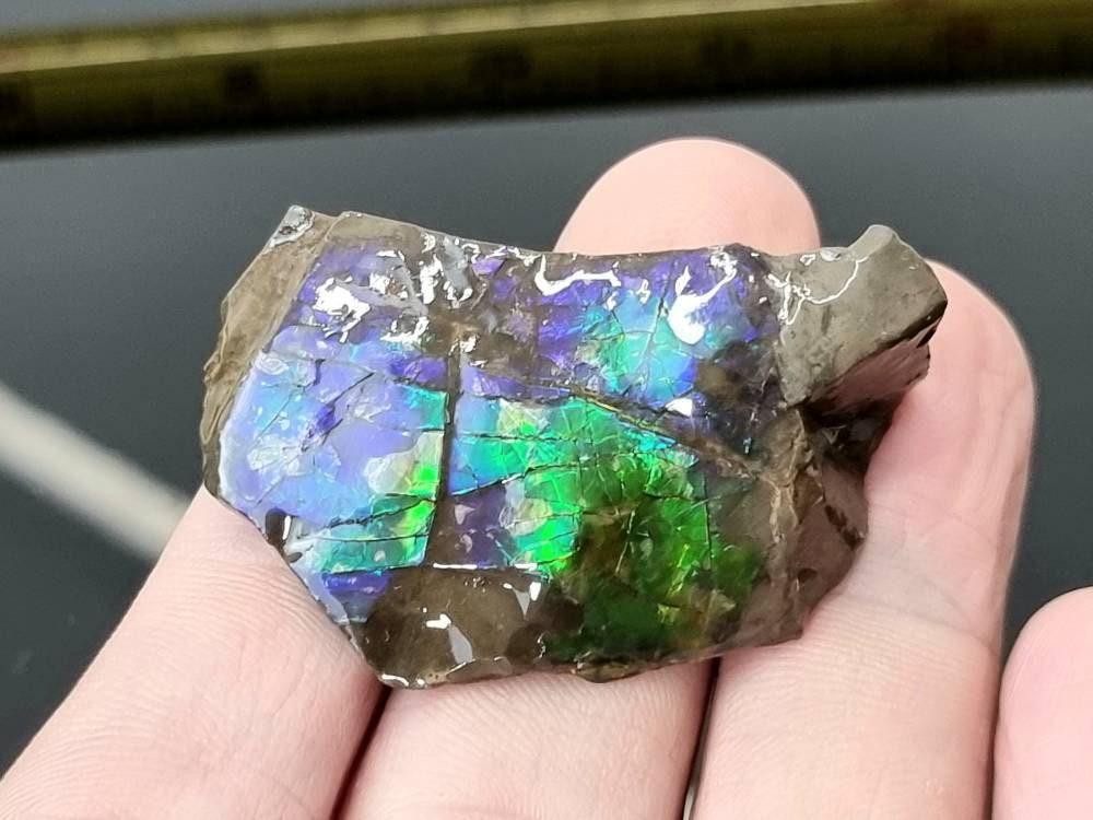 ammolite crystal gemstone canada