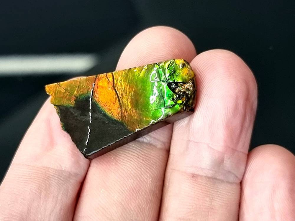 25) Ammolite Crystal Gemstone