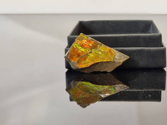 ammolite crystal gemstone canada