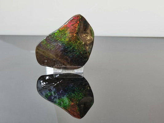 ammolite crystal gemstone canada