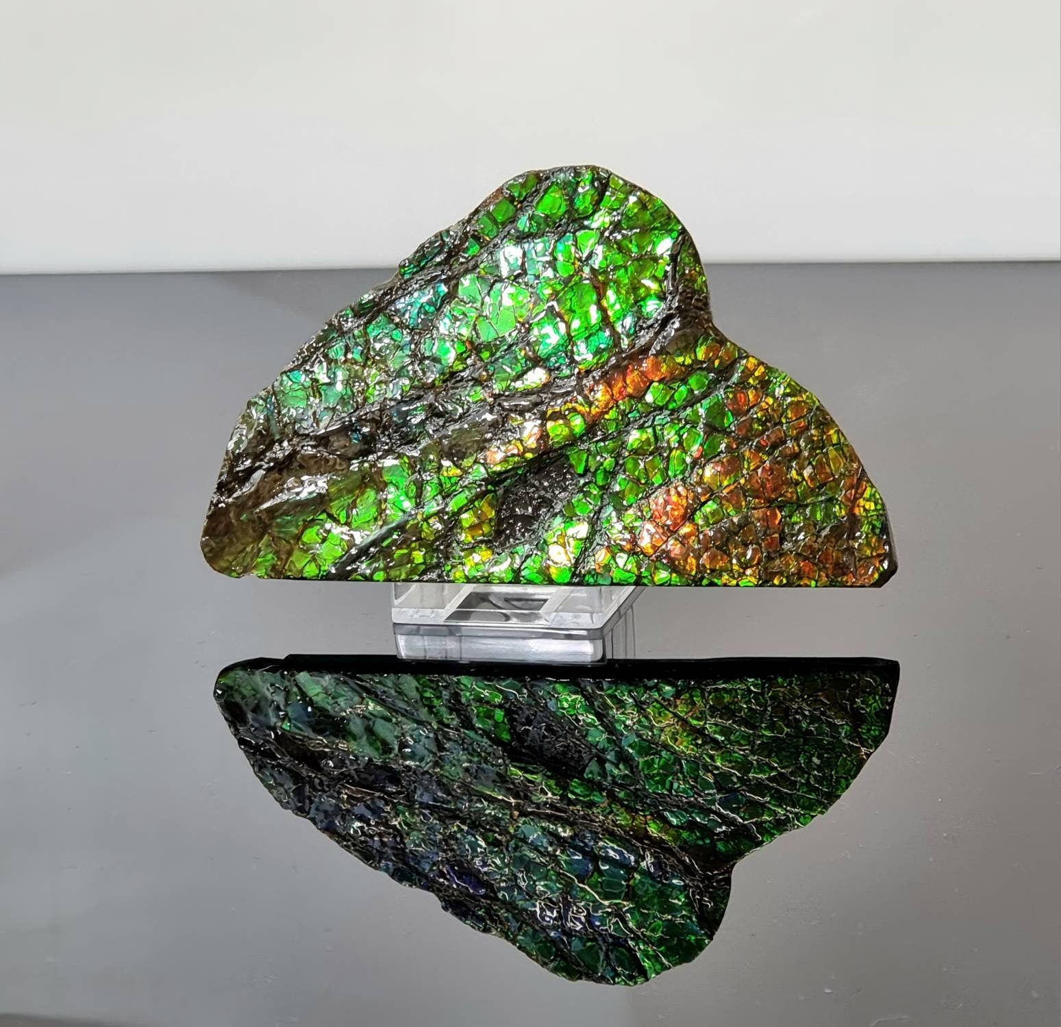 large ammolite crystal gemstone canada