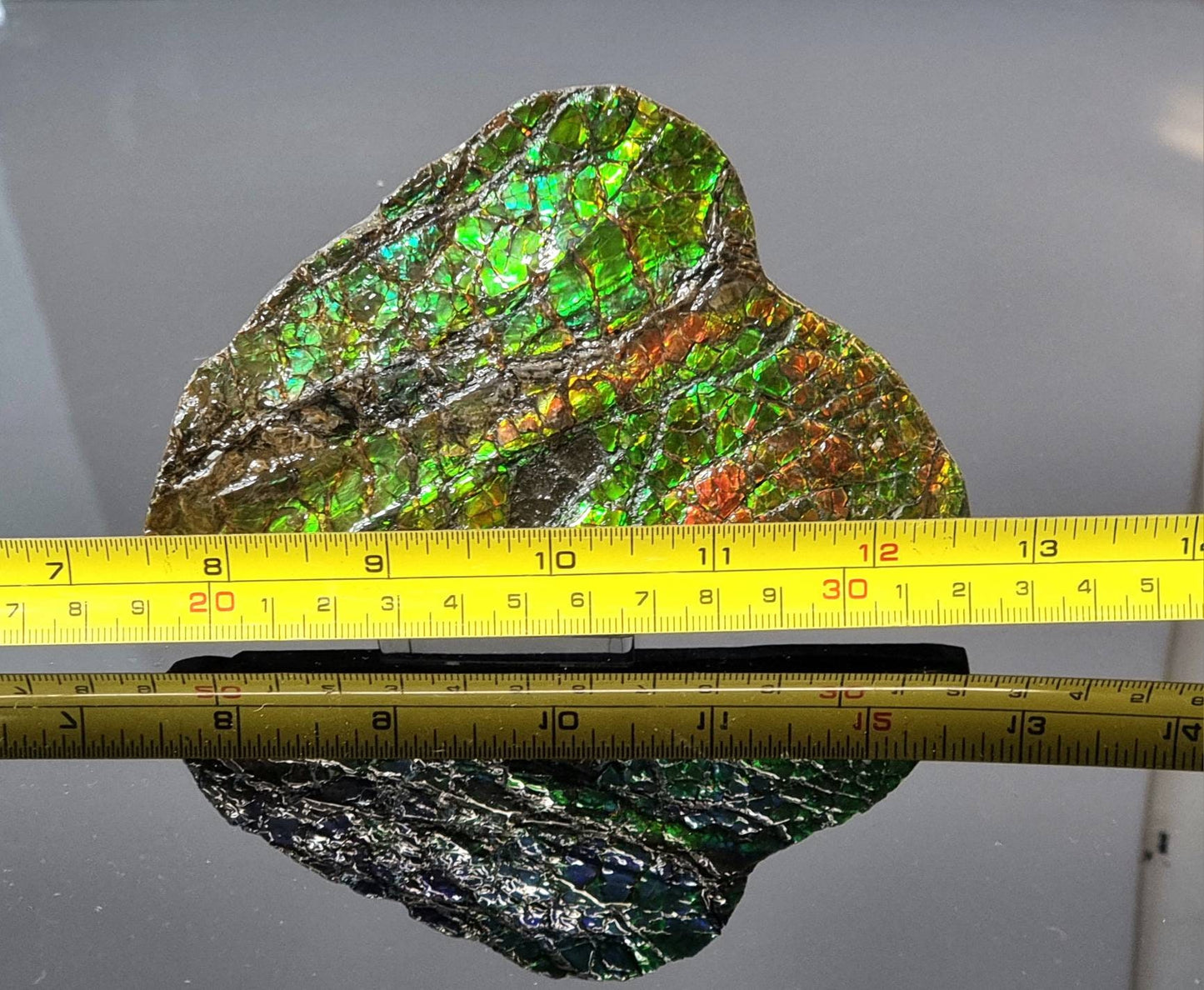 Large Ammolite Crystal Gemstone