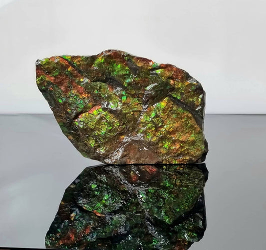 large ammolite crystal gemstone canada