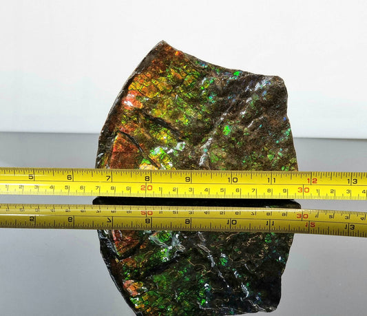 large ammolite crystal gemstone canada